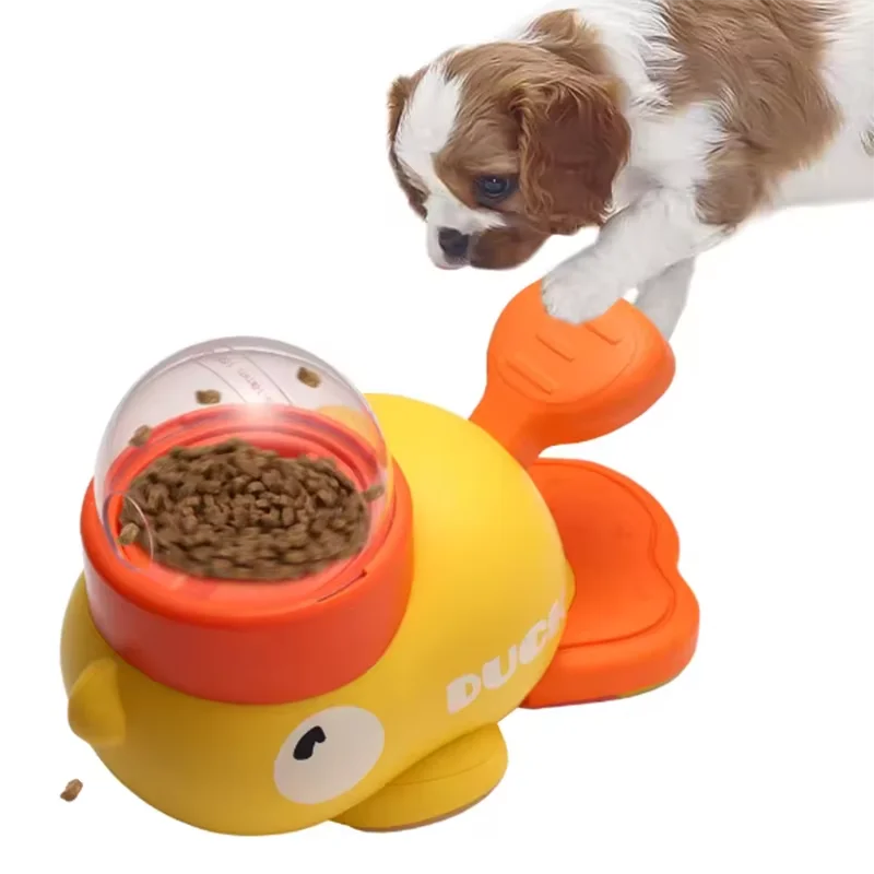 Dog, cat, pet feeder, little yellow duck