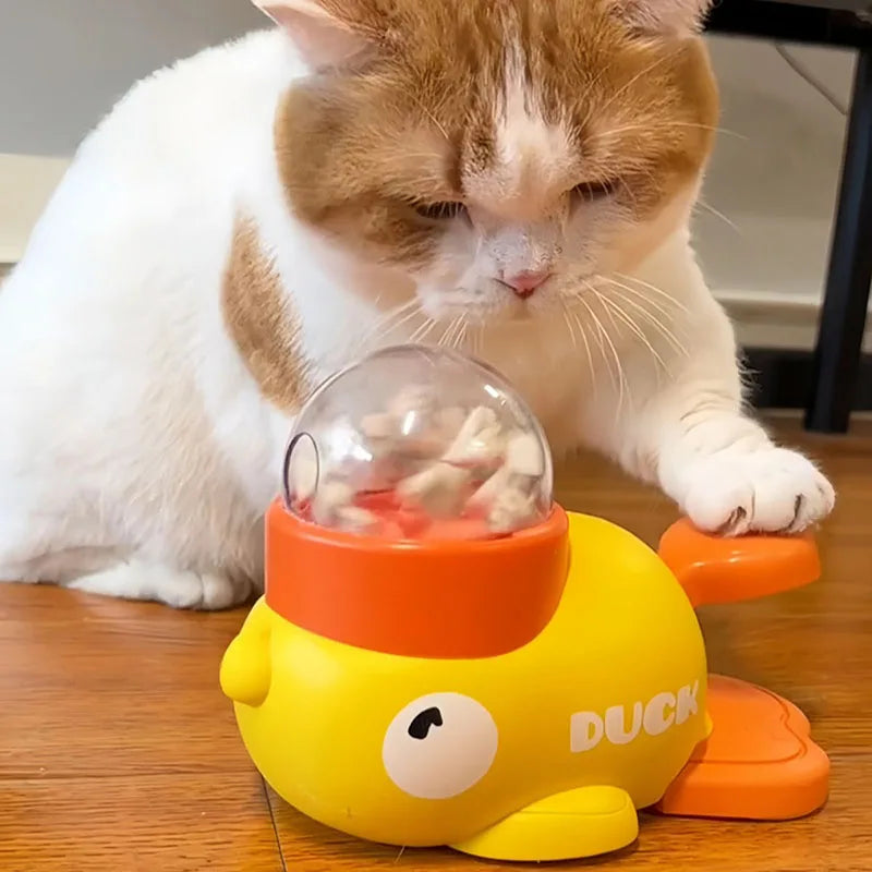 Dog, cat, pet feeder, little yellow duck