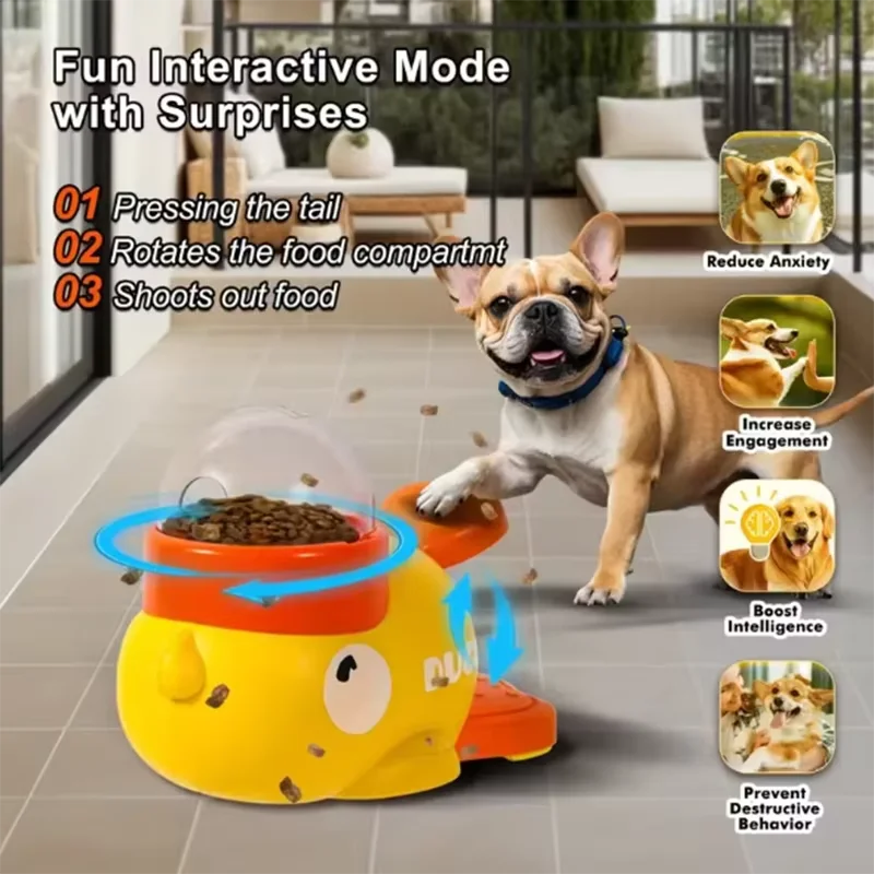 Dog, cat, pet feeder, little yellow duck